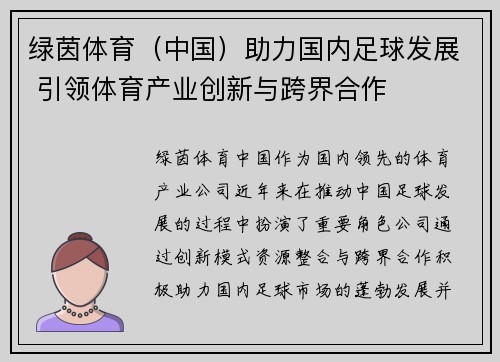 绿茵体育（中国）助力国内足球发展 引领体育产业创新与跨界合作